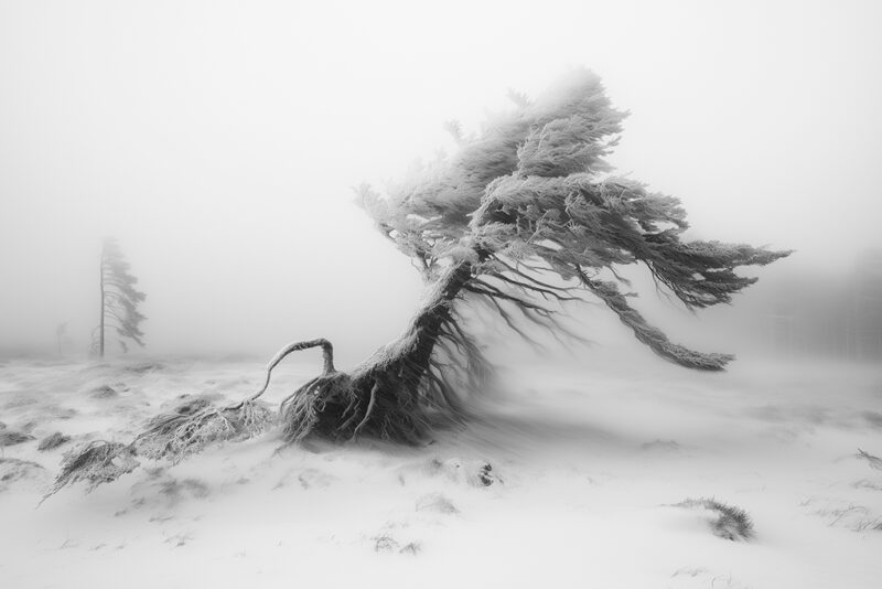 After the Storm | Fine Art Photography | Mohammad Moravej | 2024-2025